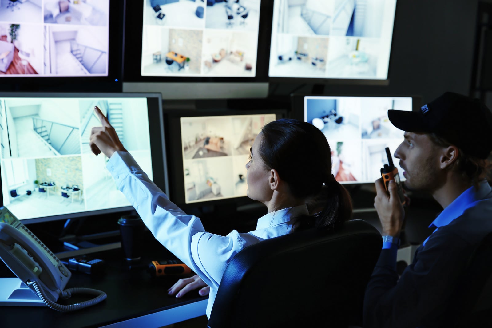 Protection And Security Service Function ICS Protective Services